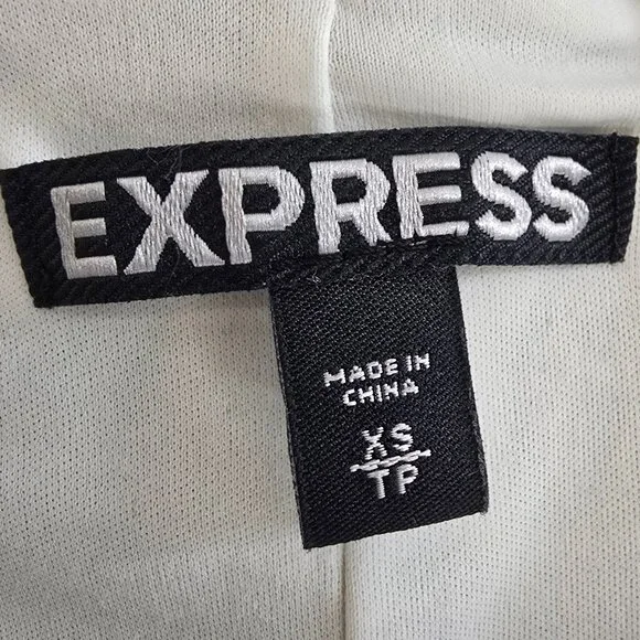 Express Geometric Sequin Bodycon Dress - Aztec, Gatsby, 20's, Holiday Party - Picture 6 of 11